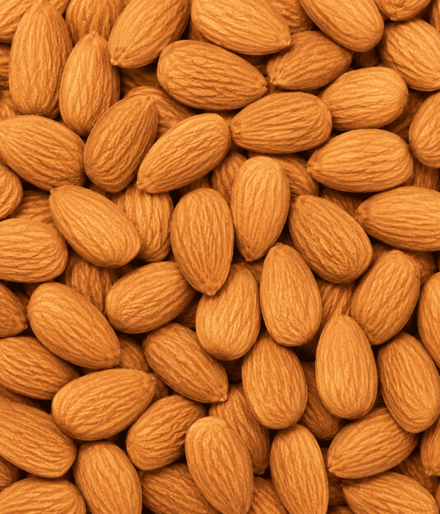 Amandes grillées sans sel