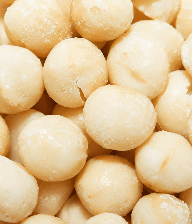 Noix de macadamia